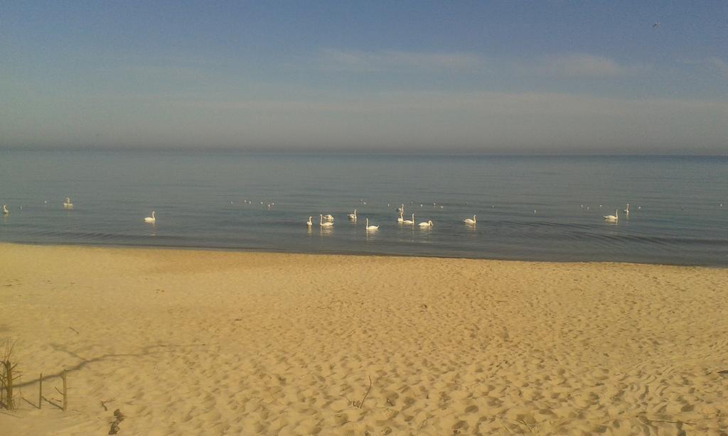 Pokoiki Krotka10 Ustronie Morskie Buitenkant foto